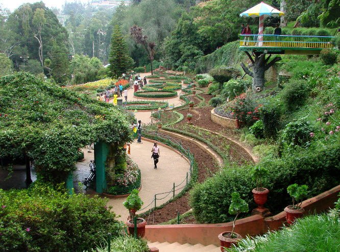 Botanic Garden of Indian Republic, India